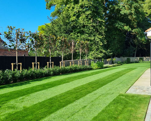 Garden maintenance in Tunbridge Wells